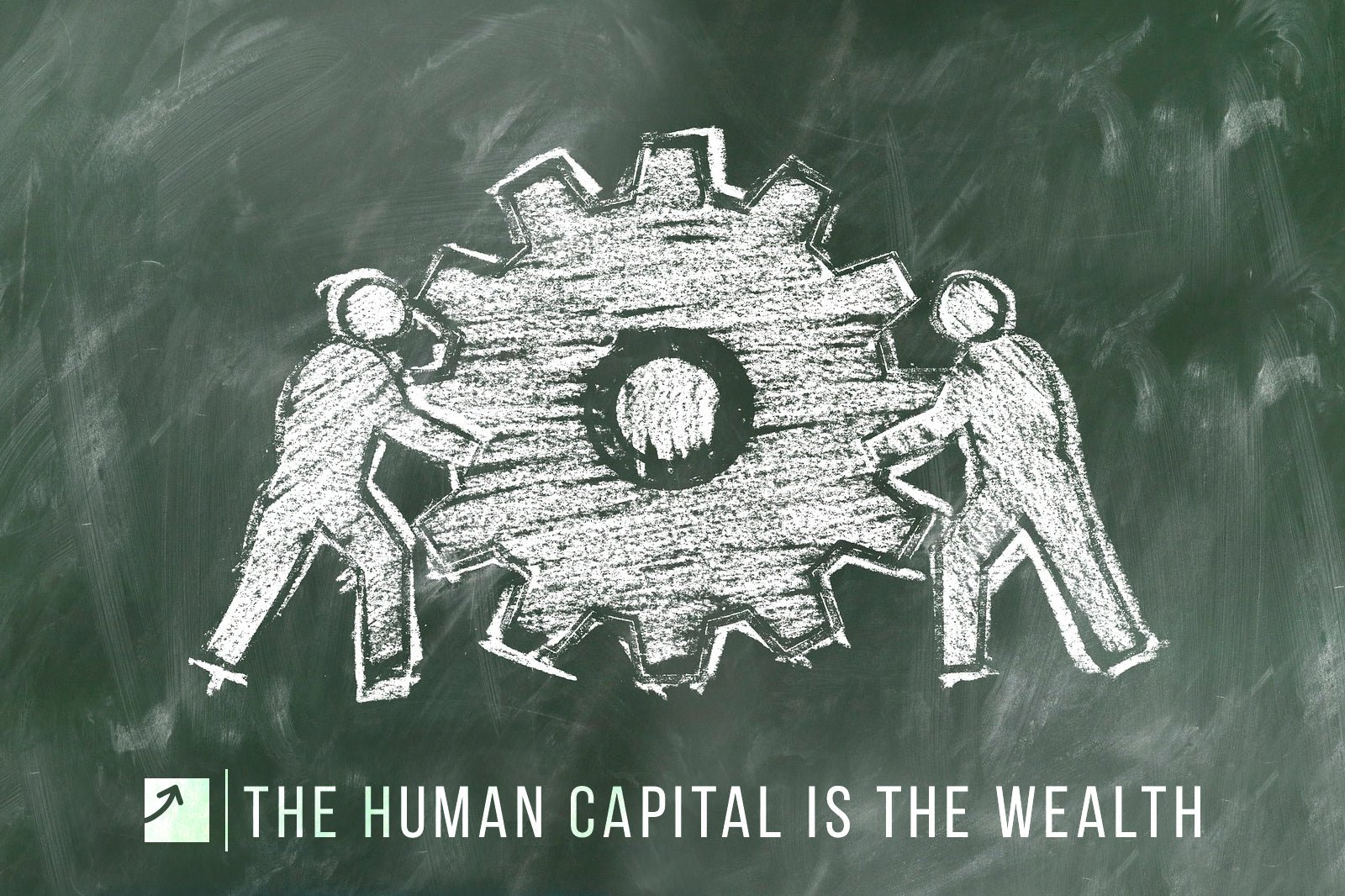 Conoce la mayor riqueza del mundo